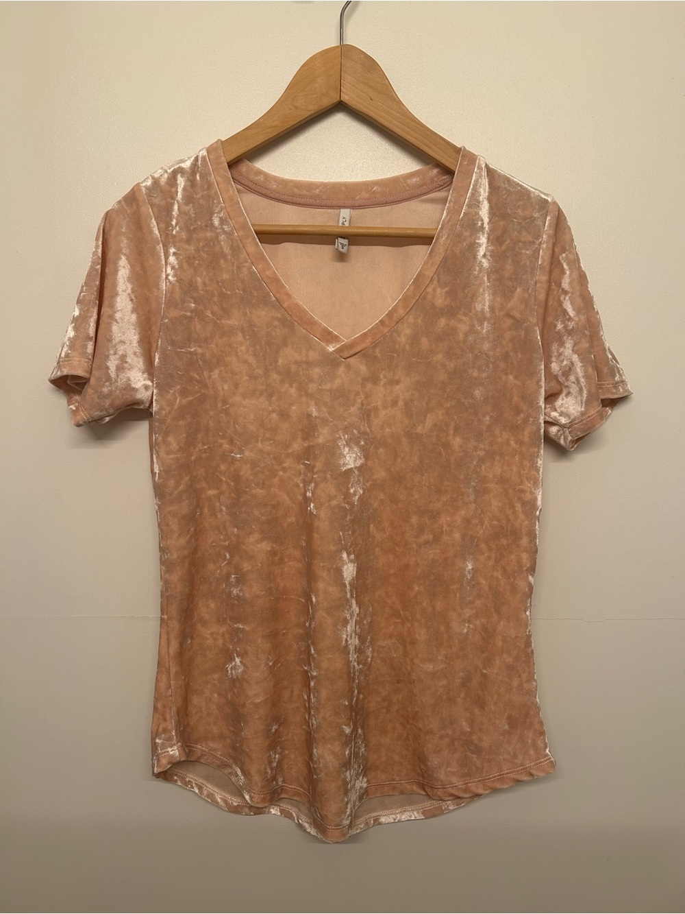 Crushed Velvet V-Neck Short Sleeve Top in Blush Women’s Size Small